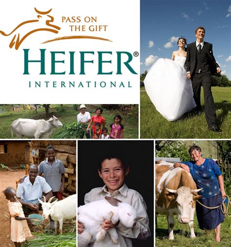 charity wedding list|Charitable Wedding Registry .